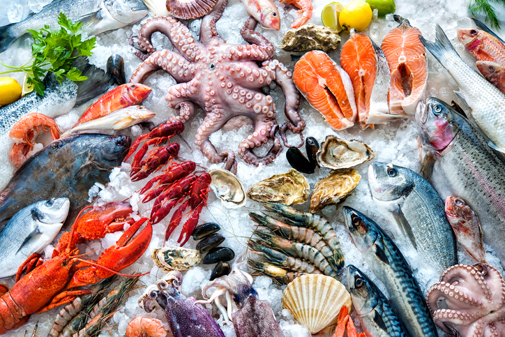 Seafood on ice at the fish market