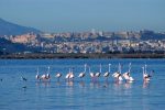 Itinerario dell'Isola di Sardegna - Settima tappa